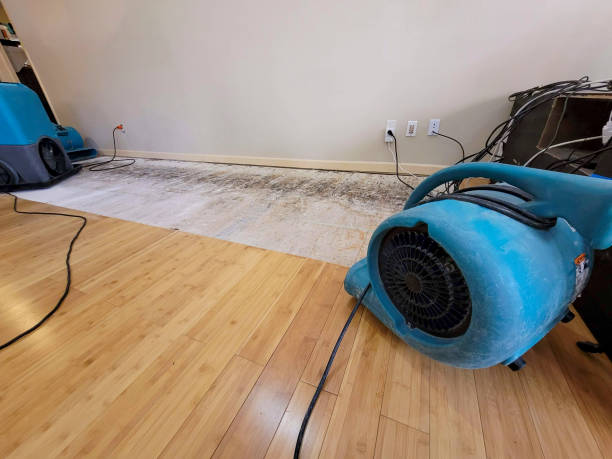 Professional Basement Flood Cleanup technician working in Neptune, NJ